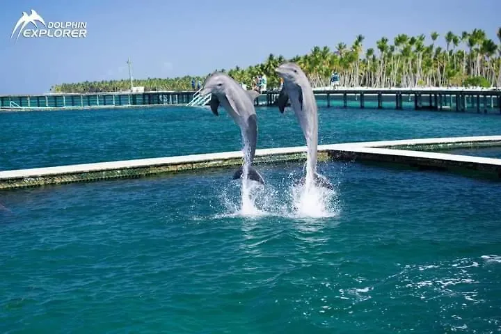 Caribbean And Sun Punta Cana